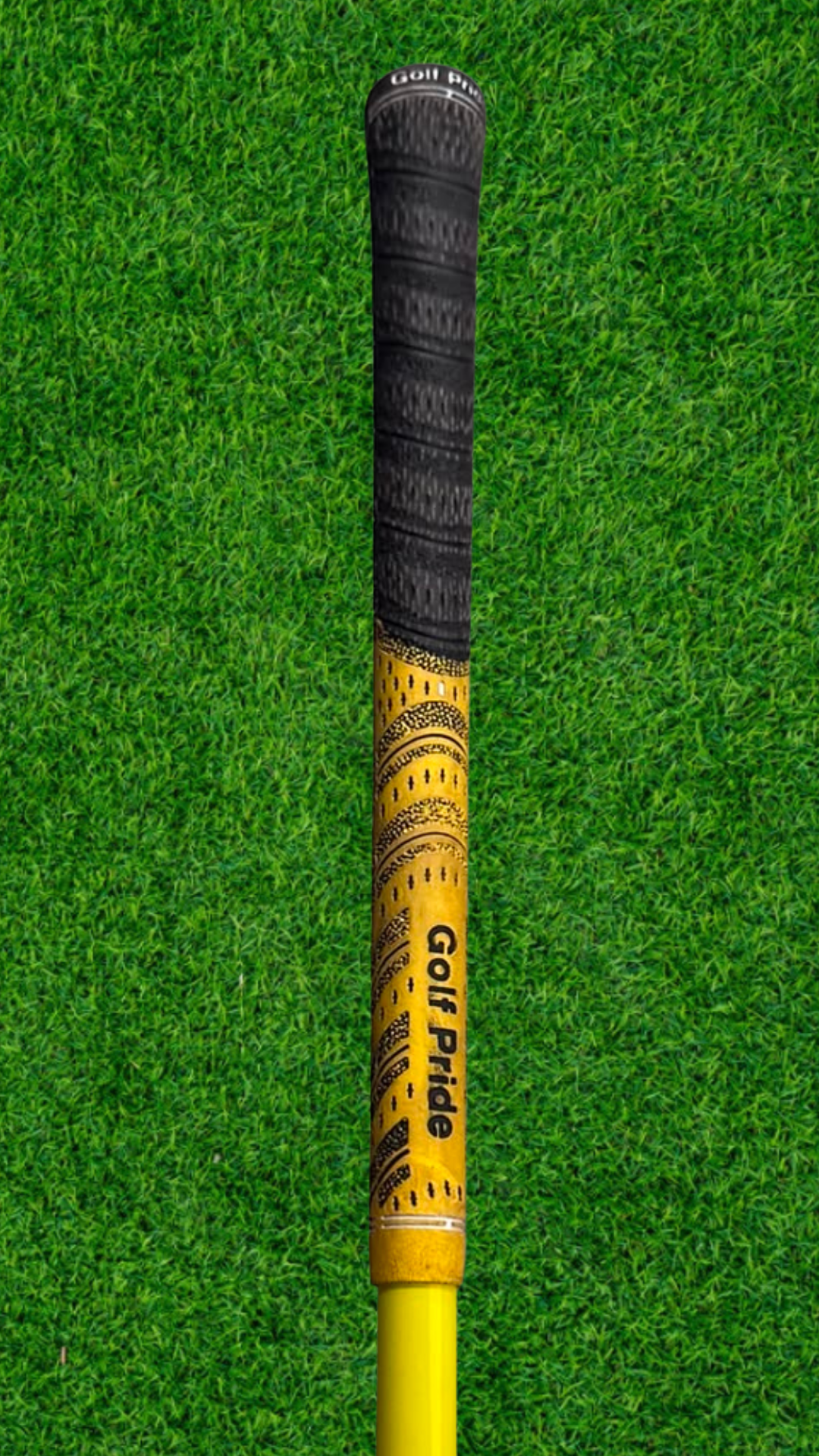 Lynx Black Cat Tour Driver