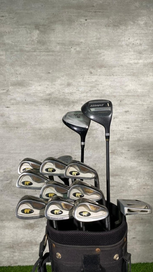 Golden Bear Power Curve Mixed Golf Set - WeBuyClubz