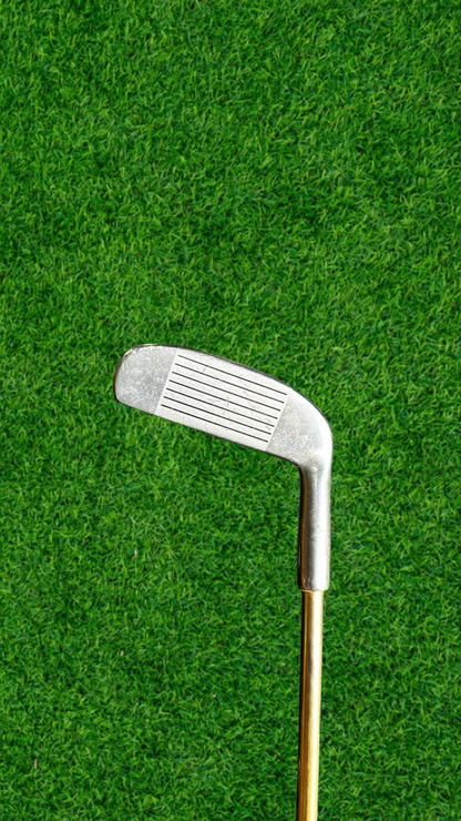 2-Way Golf Chipper