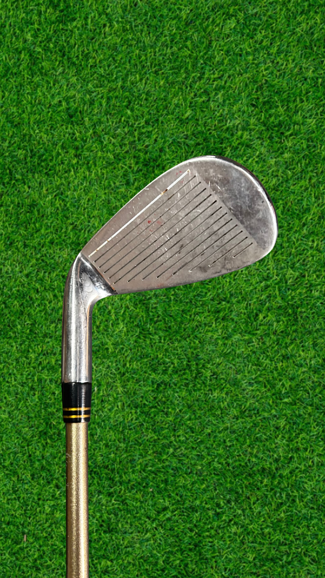 Ladies Fearless Golf La Femme II 8-Irom