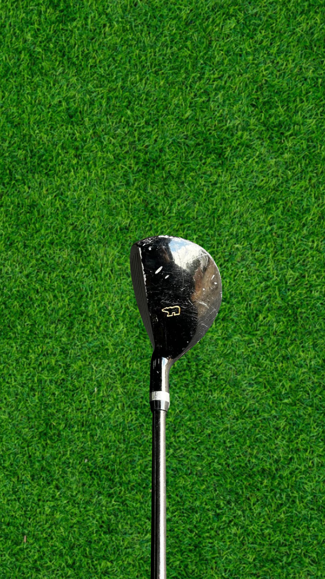 Golden Bear Mega Pro 5-Hybrid