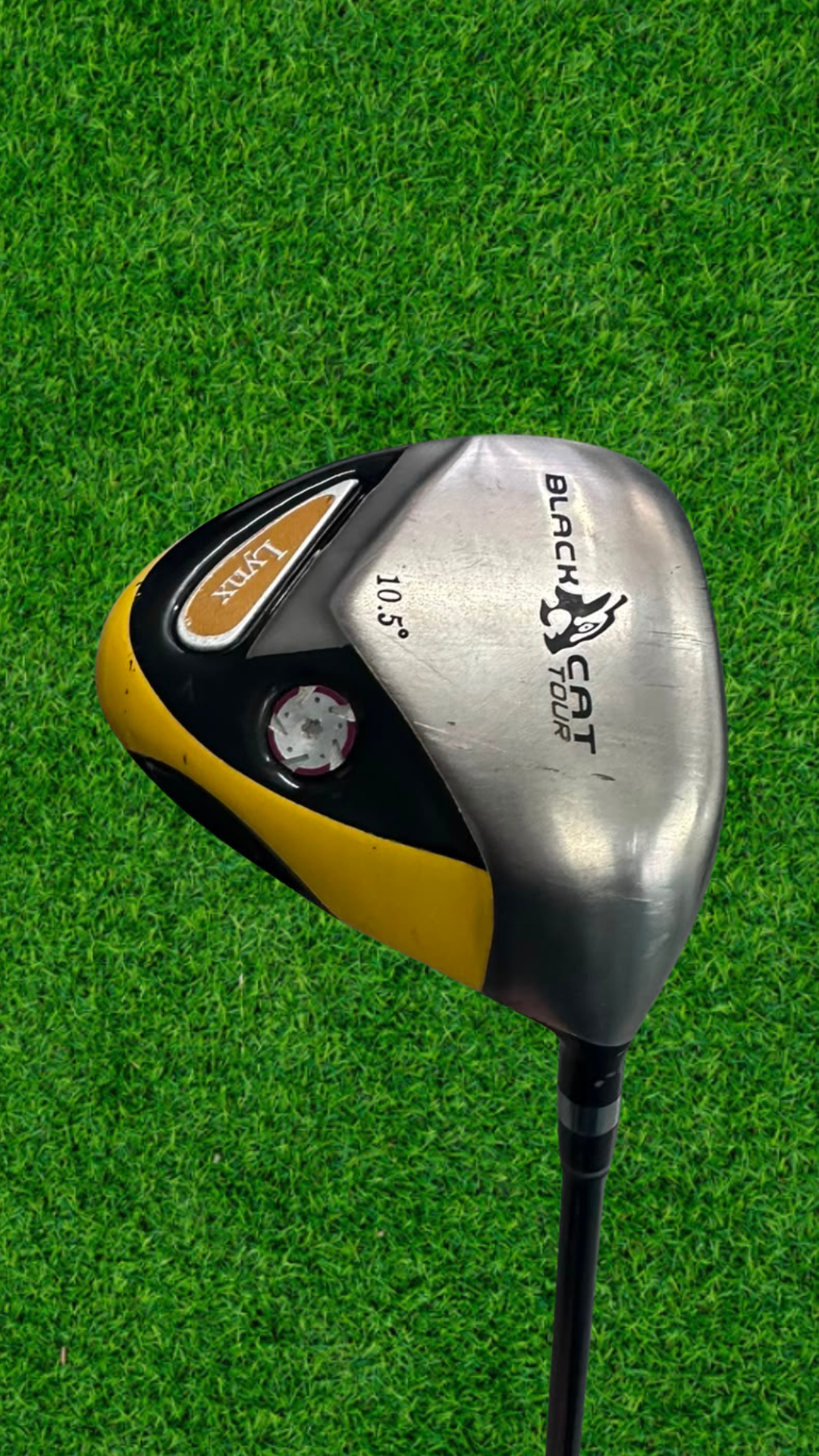 Lynx Black Cat Tour Driver