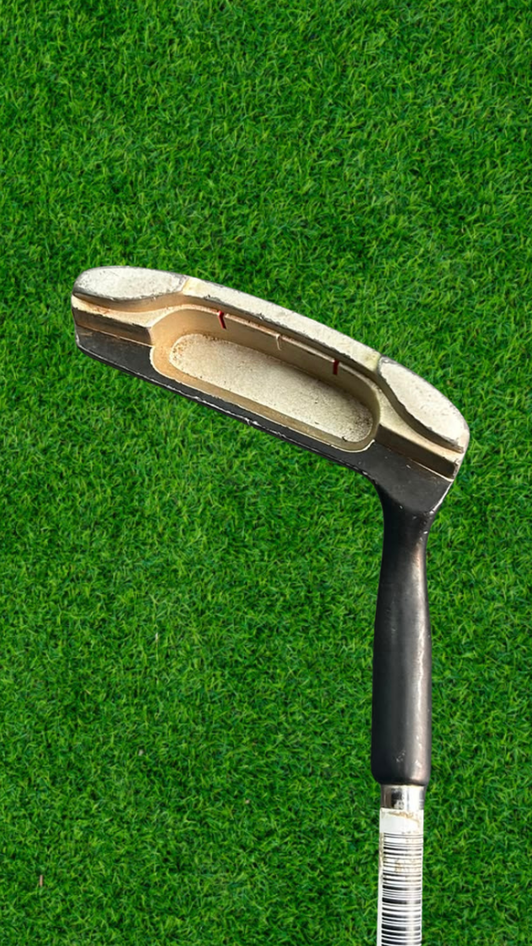 Wilson Harmonized Chipper