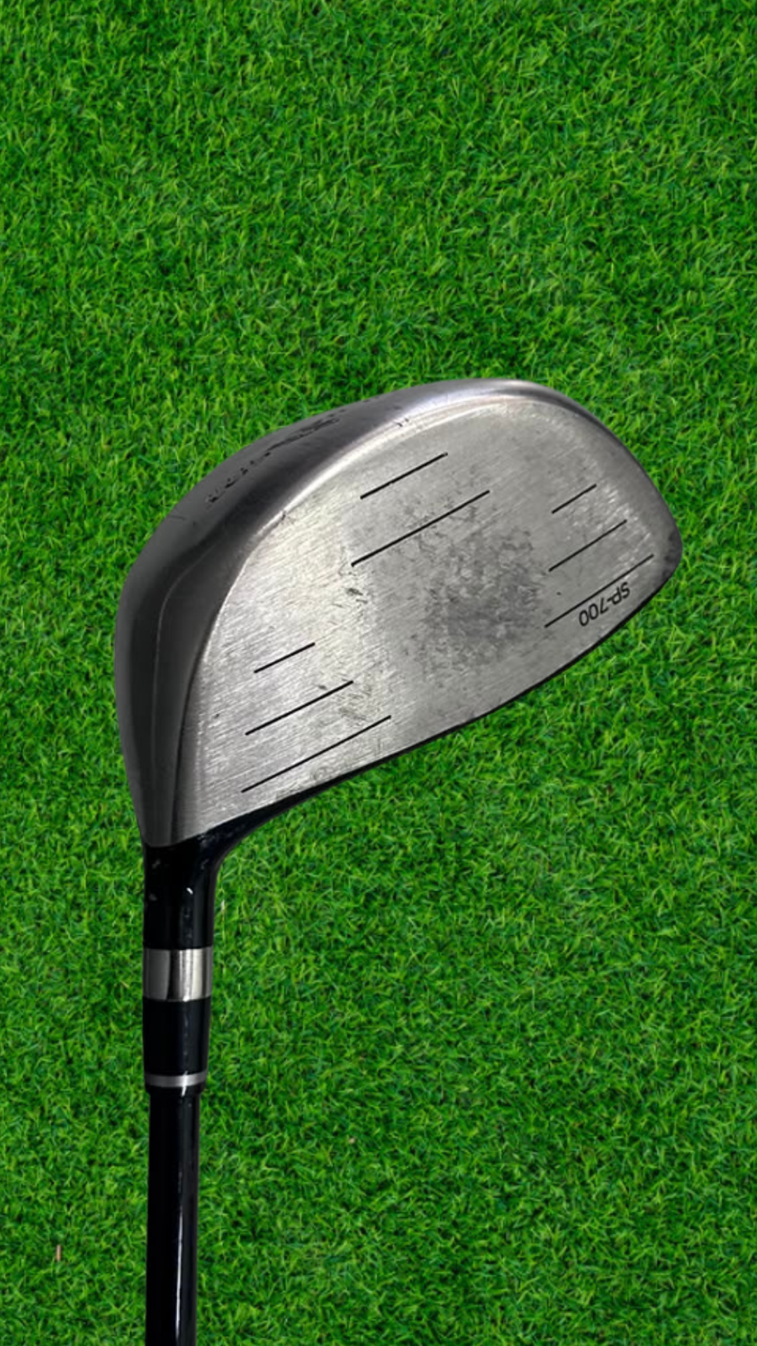 Lynx Black Cat Tour Driver