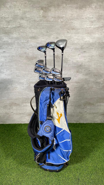 Golf clubs in a blue bag on a green and gray background