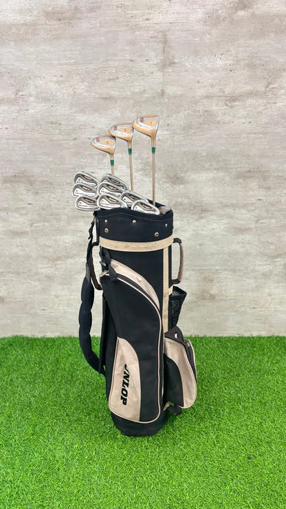 Golf clubs in a black and beige bag on a green and gray background