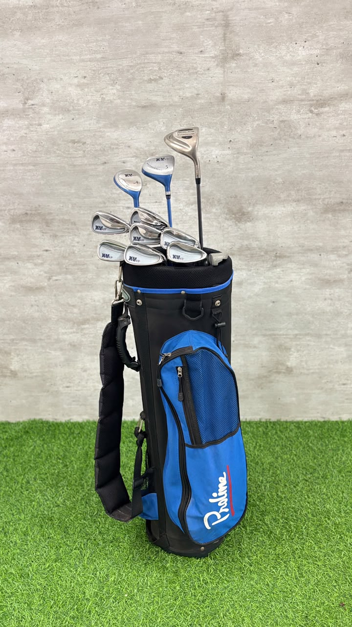 Golf clubs in a blue and black bag on a green and gray background