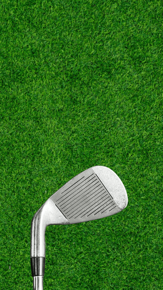 Dunlop True Tech 9 - Iron - WeBuyClubz
