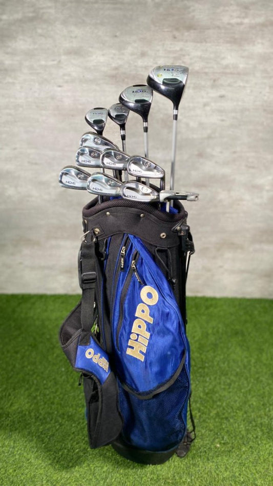 Golf clubs in a blue and black bag on a green surface with a gray background