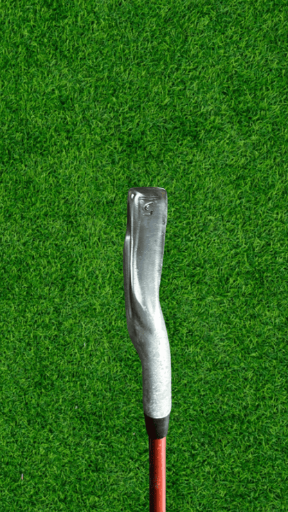 Kids Little Tiger (7-9) 5 Iron - WeBuyClubz