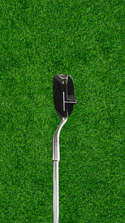 True Temper TT Lite Balanced Chipper - WeBuyClubz